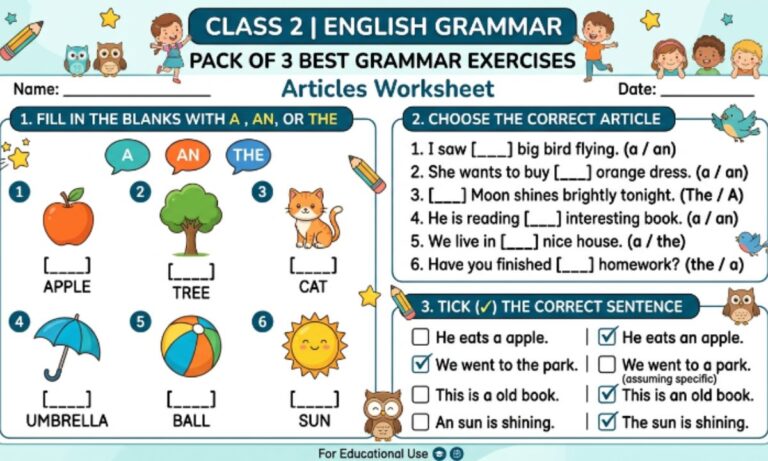 Articles Worksheet for Class 2 in English Grammar | Pack of 3 Best Grammar Exercises