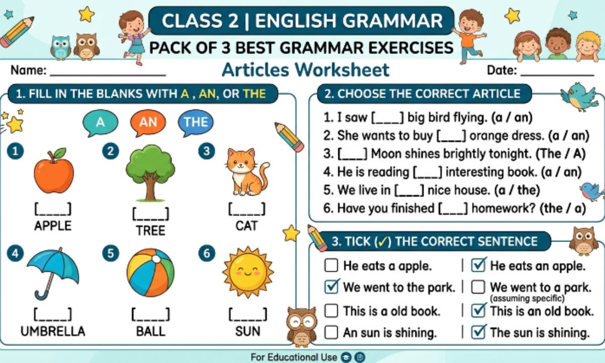 Articles Worksheet for Class 2 in English Grammar | Pack of 3 Best Grammar Exercises